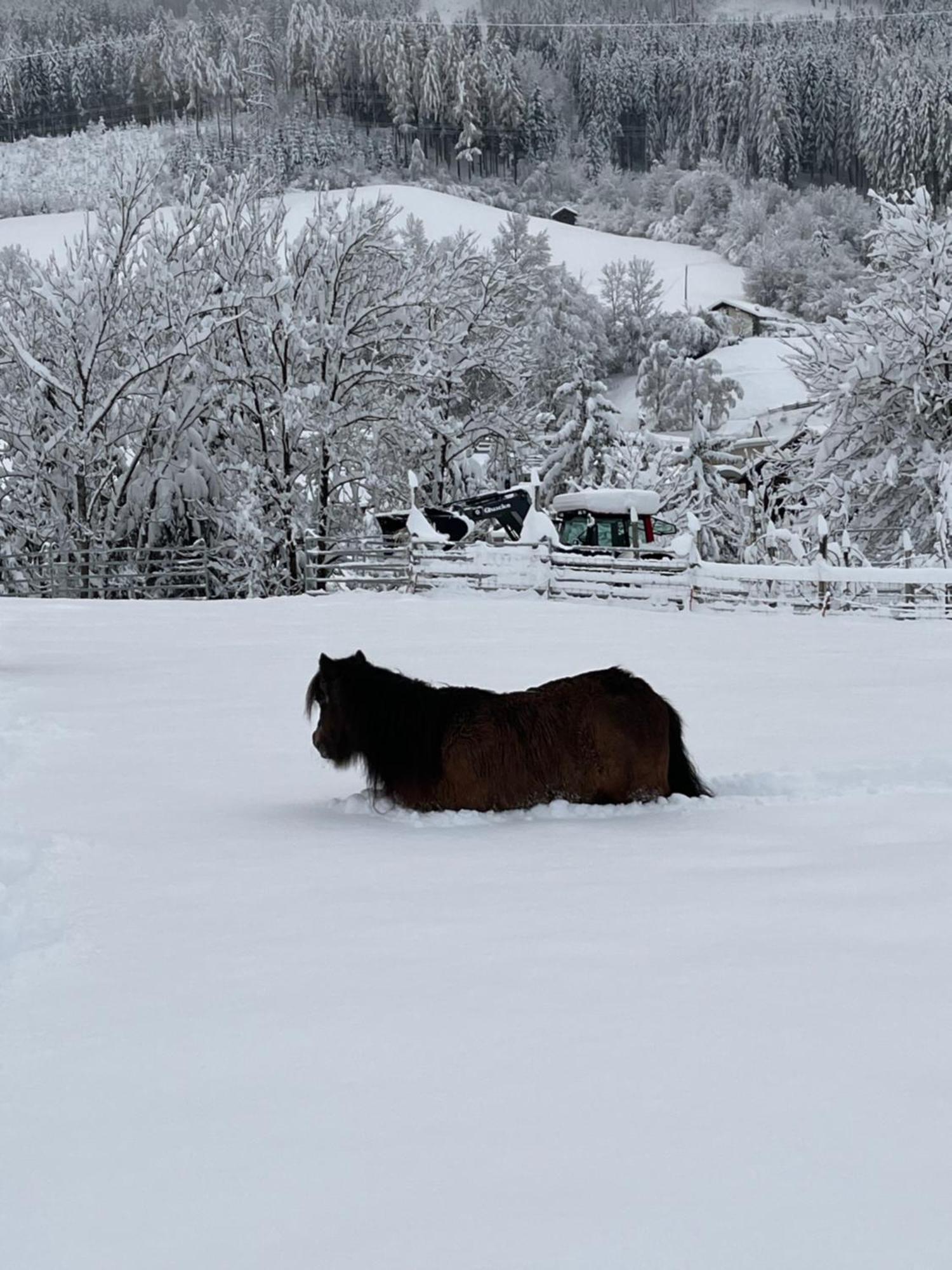 Ferienwohnung Familie Alt Rinn, Innsbruck ภายนอก รูปภาพ